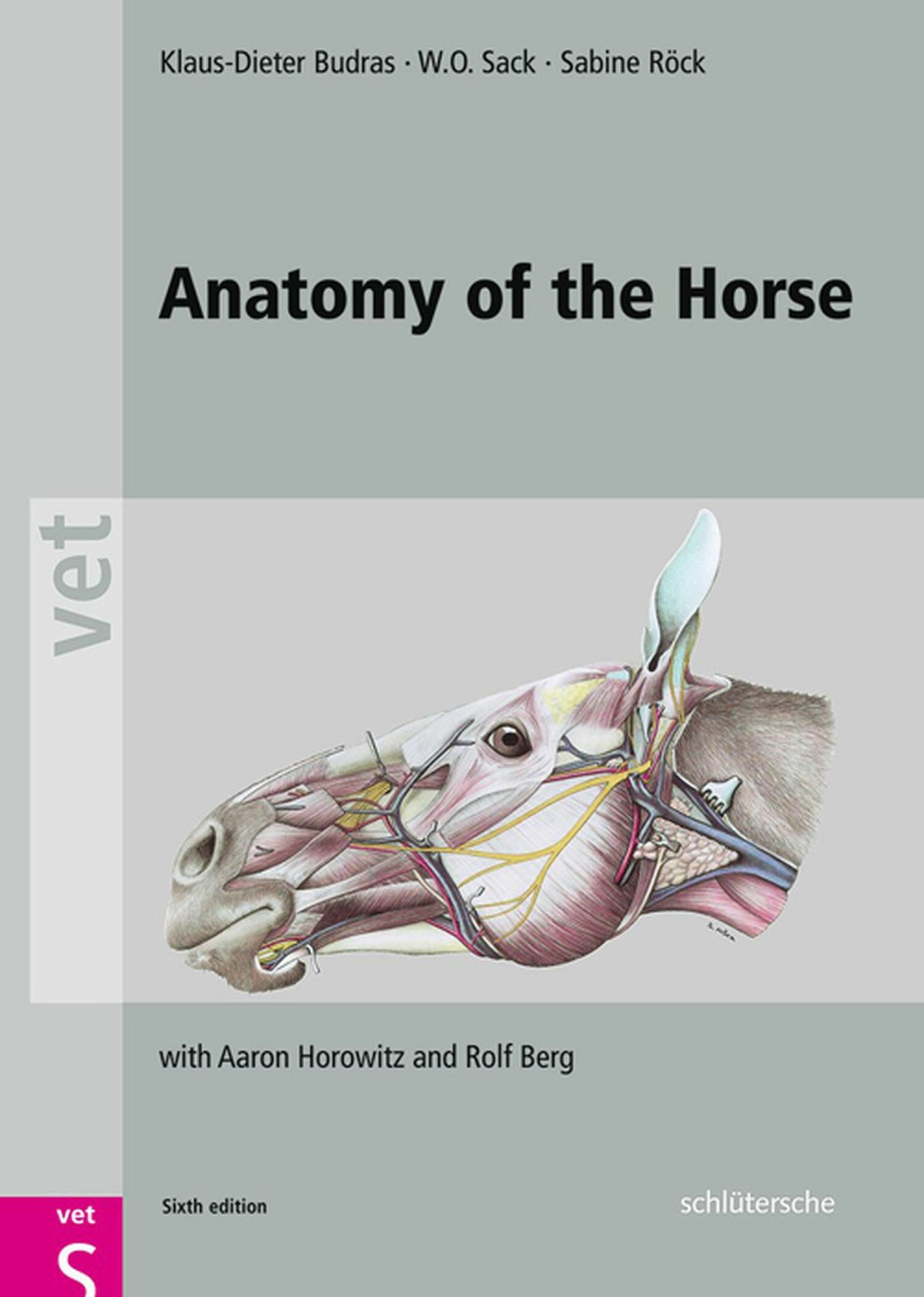 Cover Anatomy of the Horse