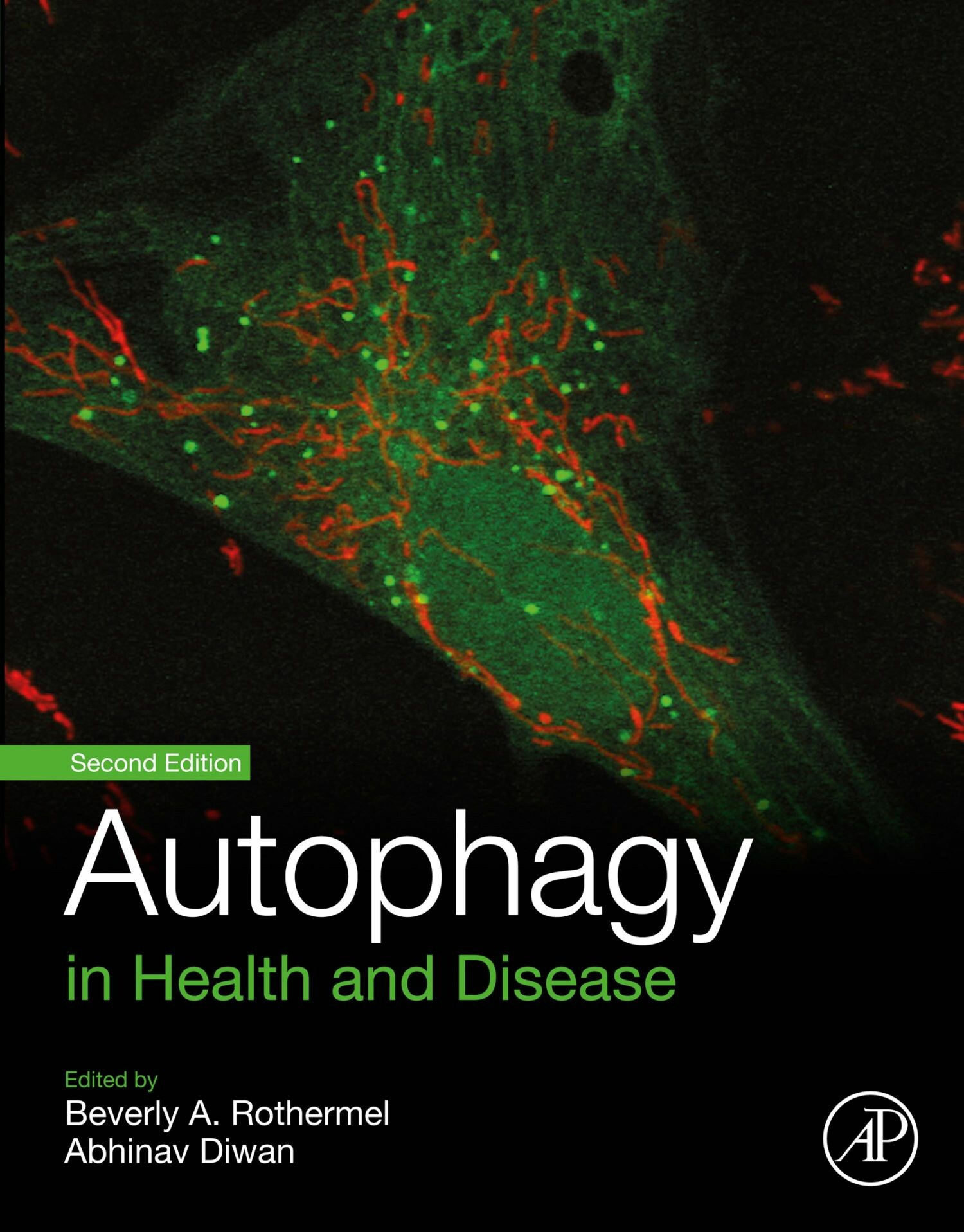 Cover Autophagy in Health and Disease