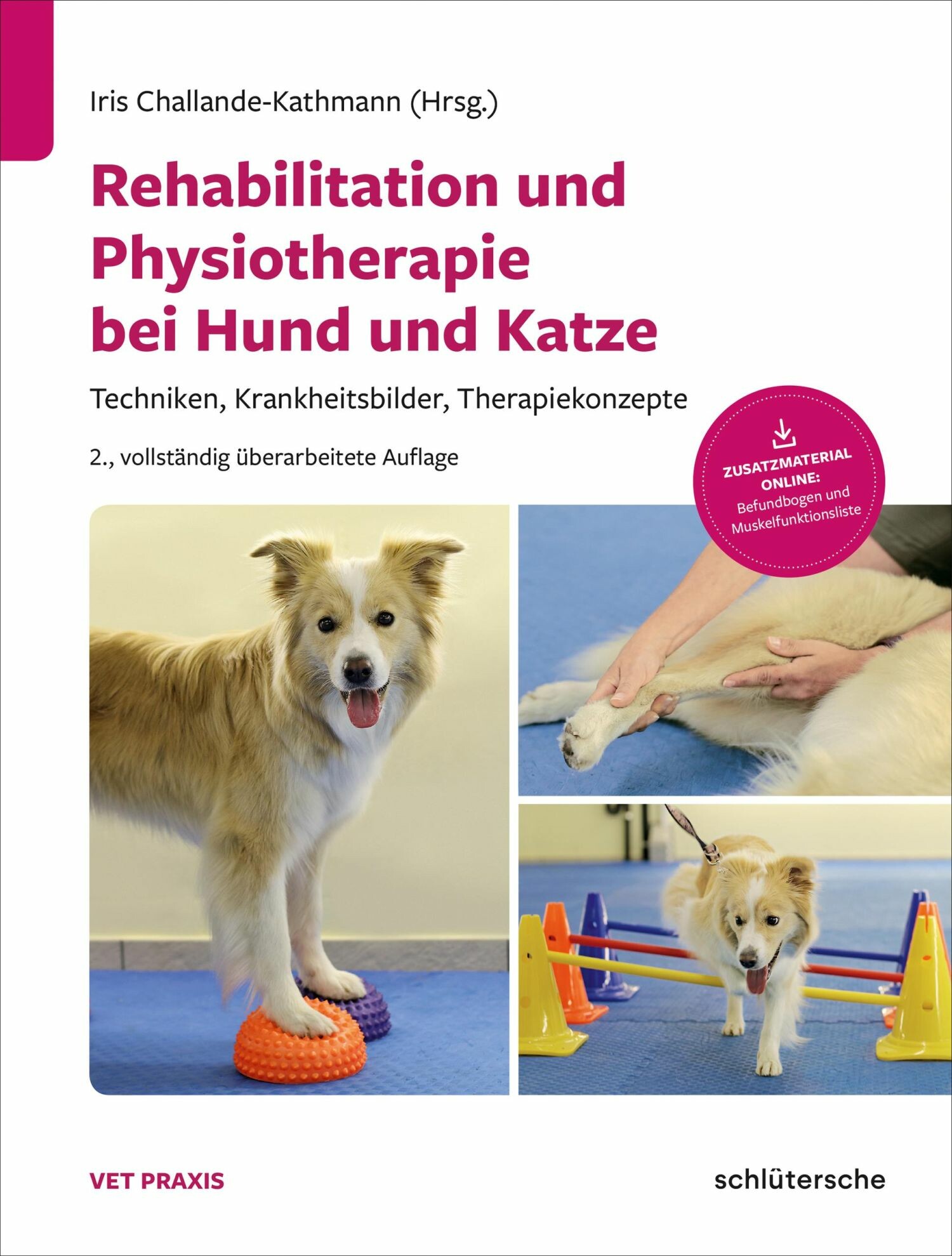 Cover Rehabilitation und Physiotherapie bei Hund und Katze