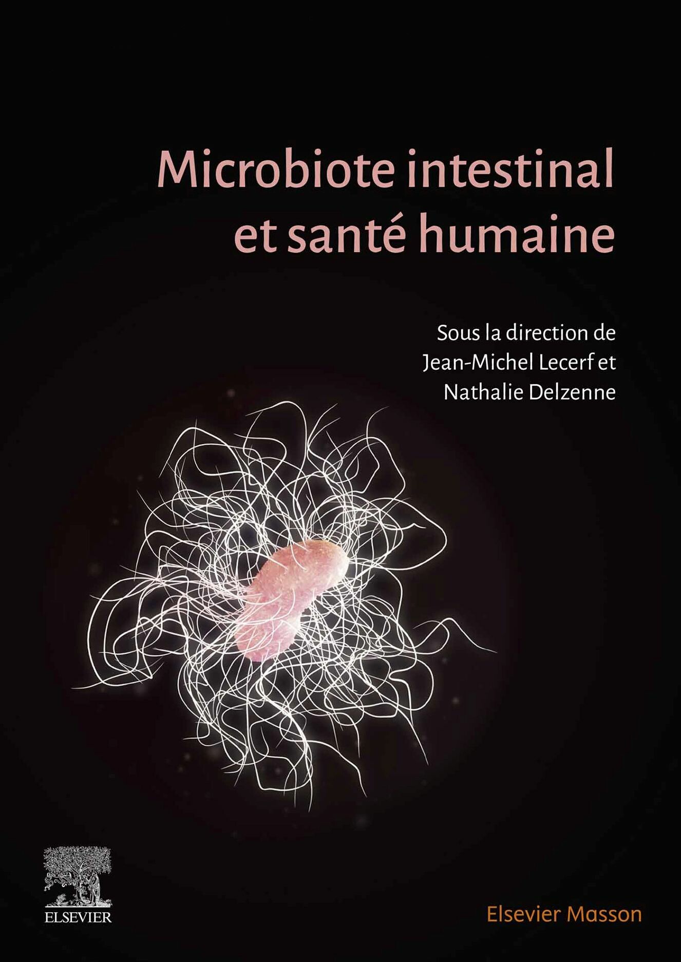 Microbiote intestinal et santé humaine