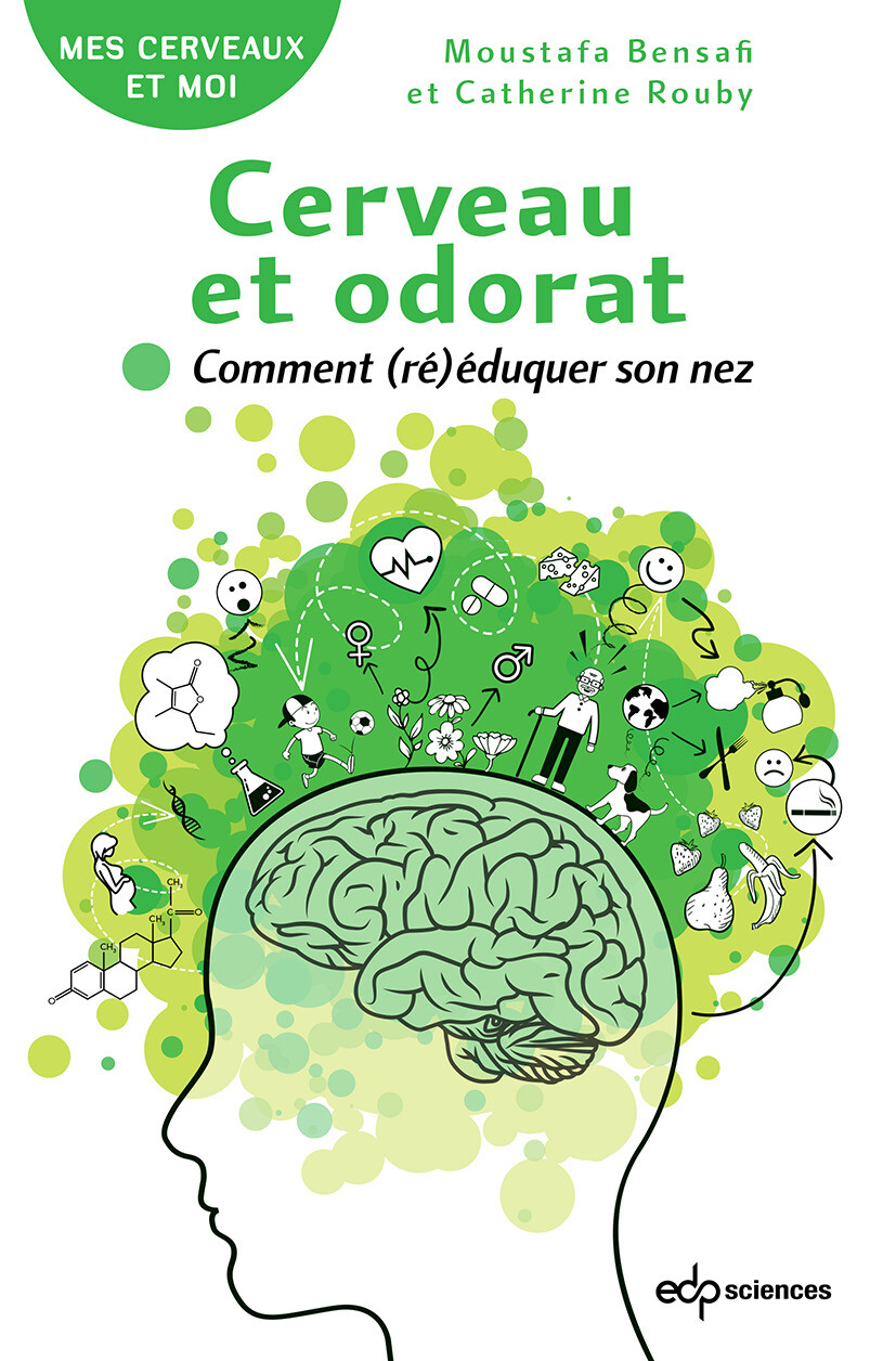 Cerveau et odorat