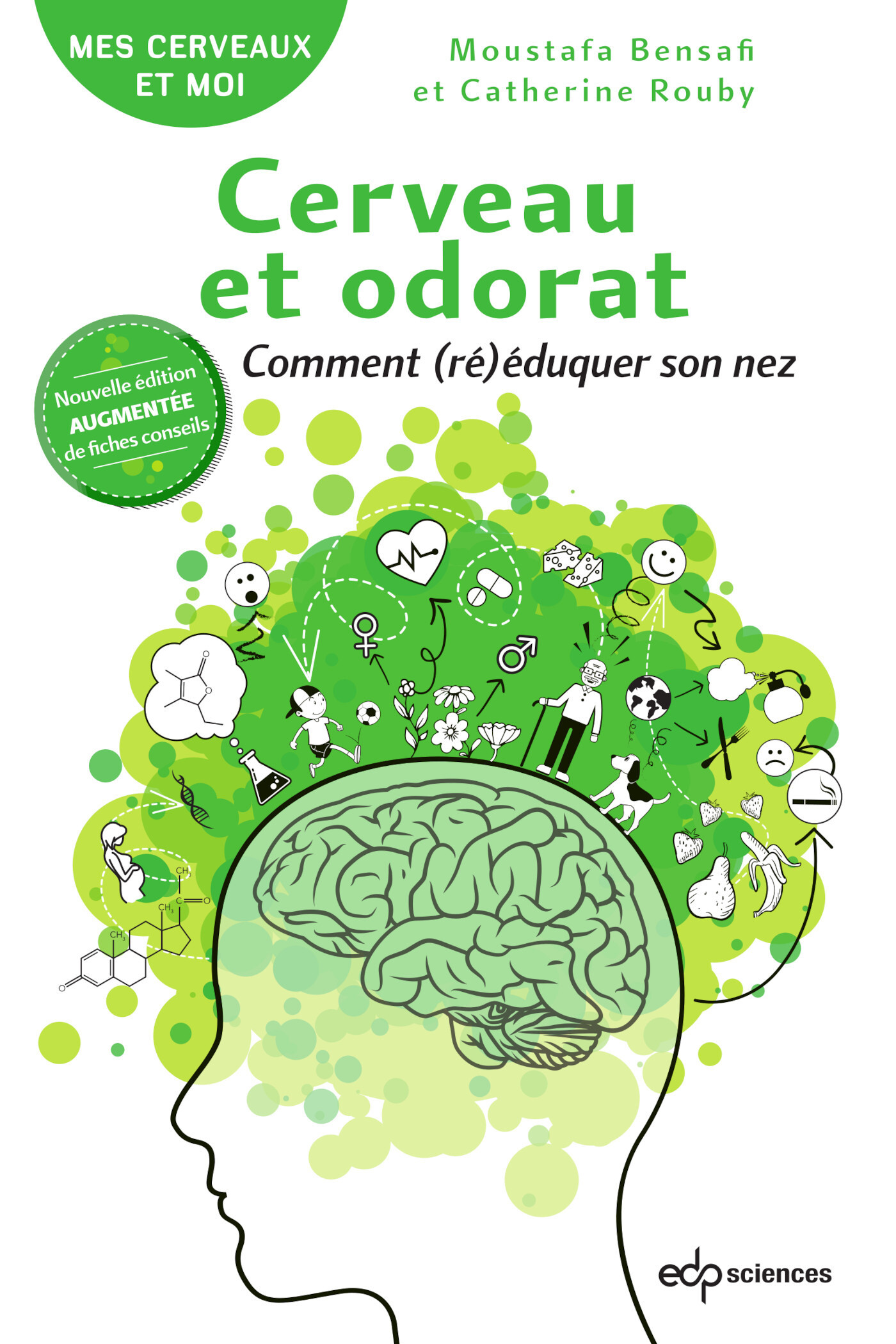 Cerveau et odorat