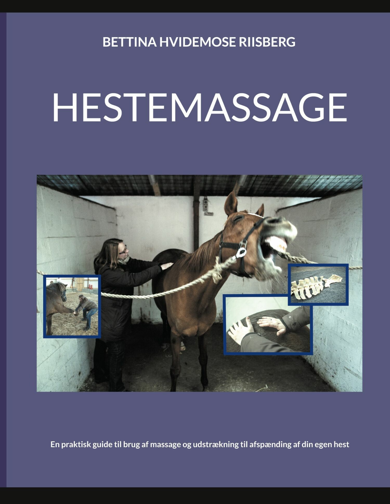 Cover Hestemassage