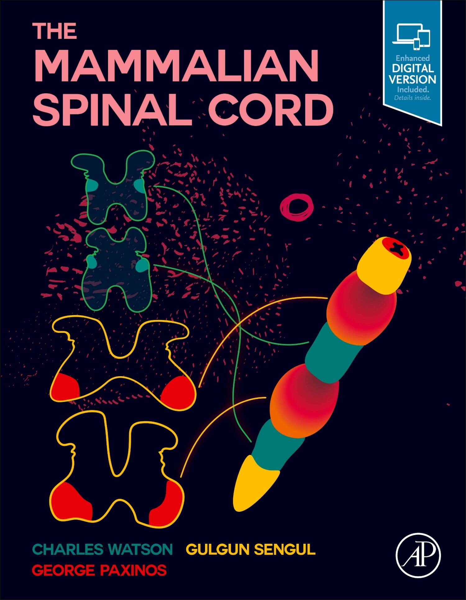 Cover The Mammalian Spinal Cord