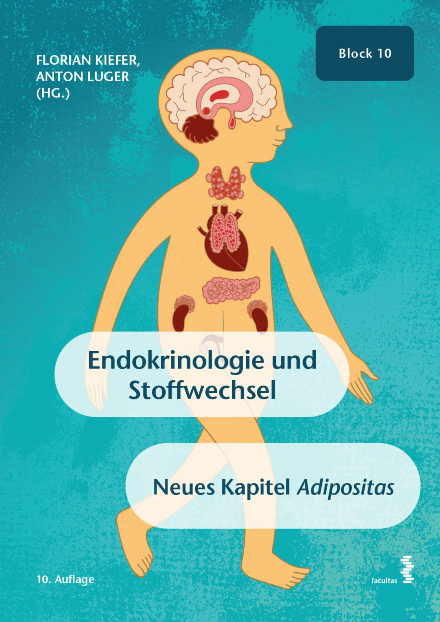 Cover Endokrinologie und Stoffwechsel