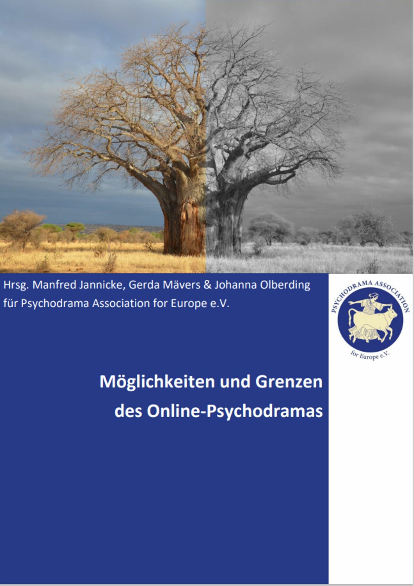 Cover Möglichkeiten und Grenzen des Online-Psychodramas