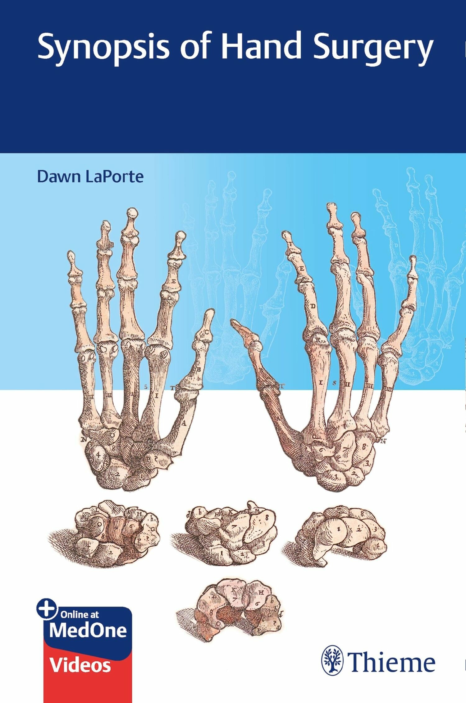 Cover Synopsis of Hand Surgery