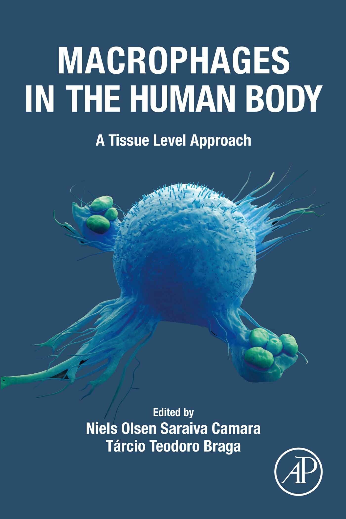 Cover Macrophages in the Human Body