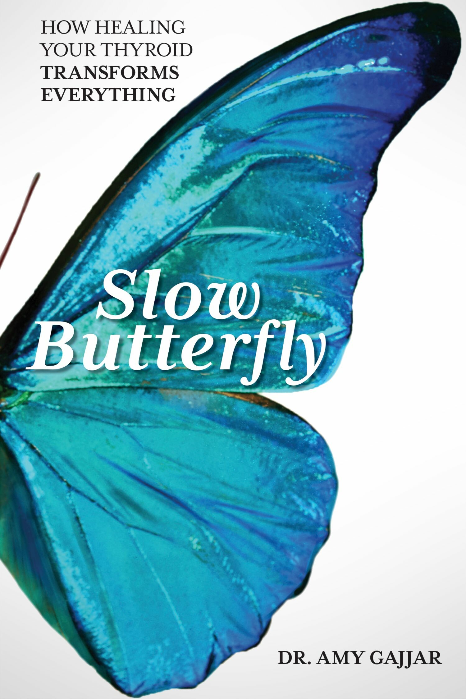 Cover Slow Butterfly