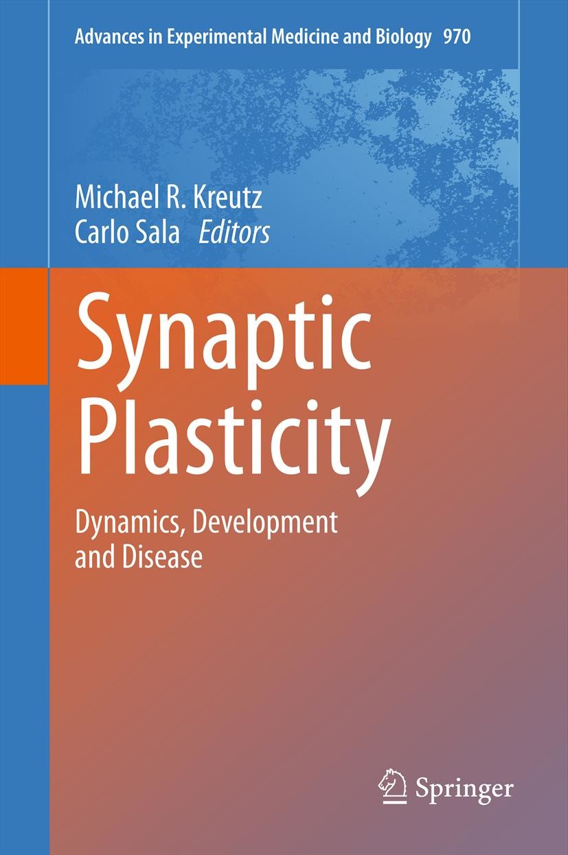 Cover Synaptic Plasticity
