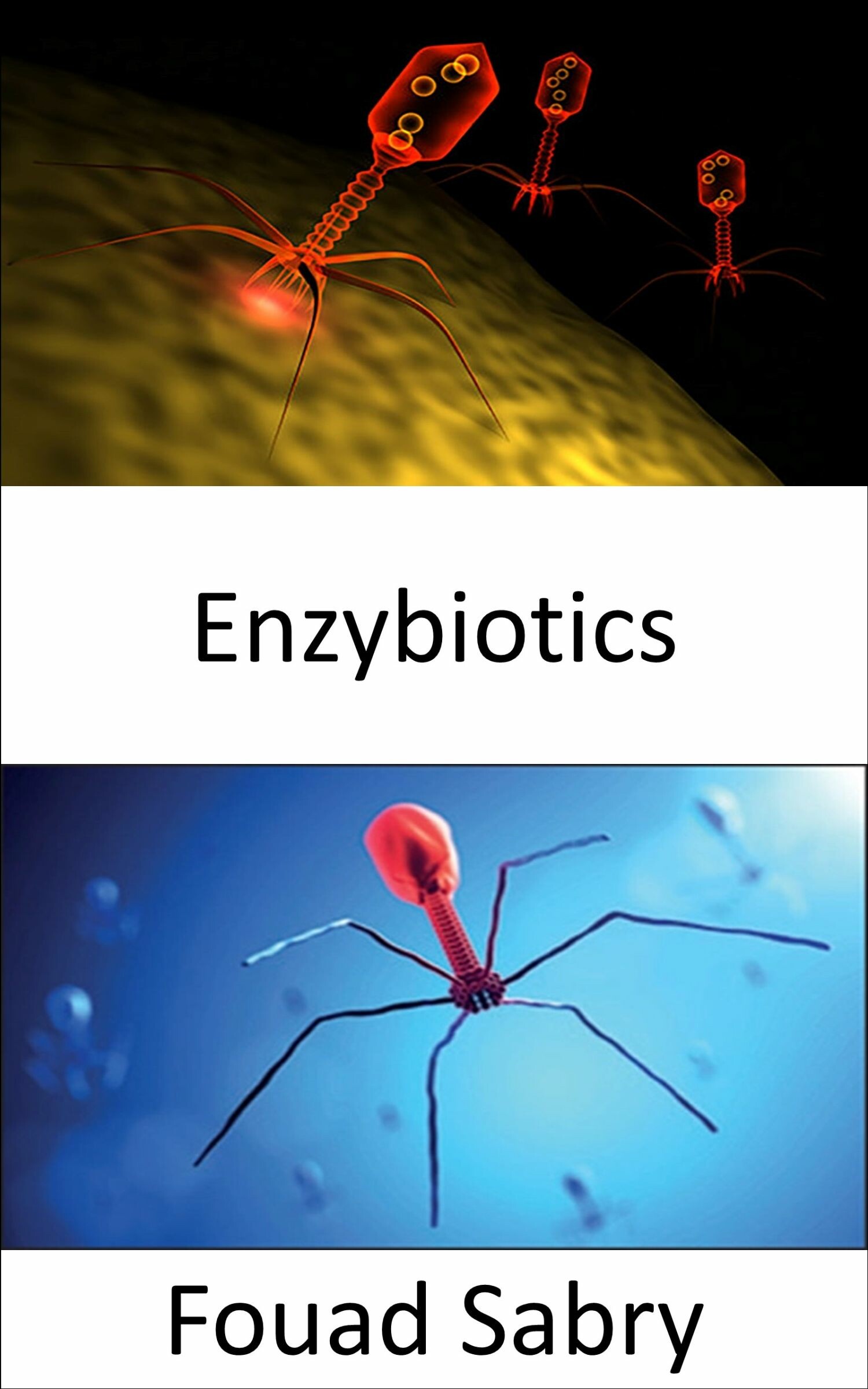 Cover Enzybiotics