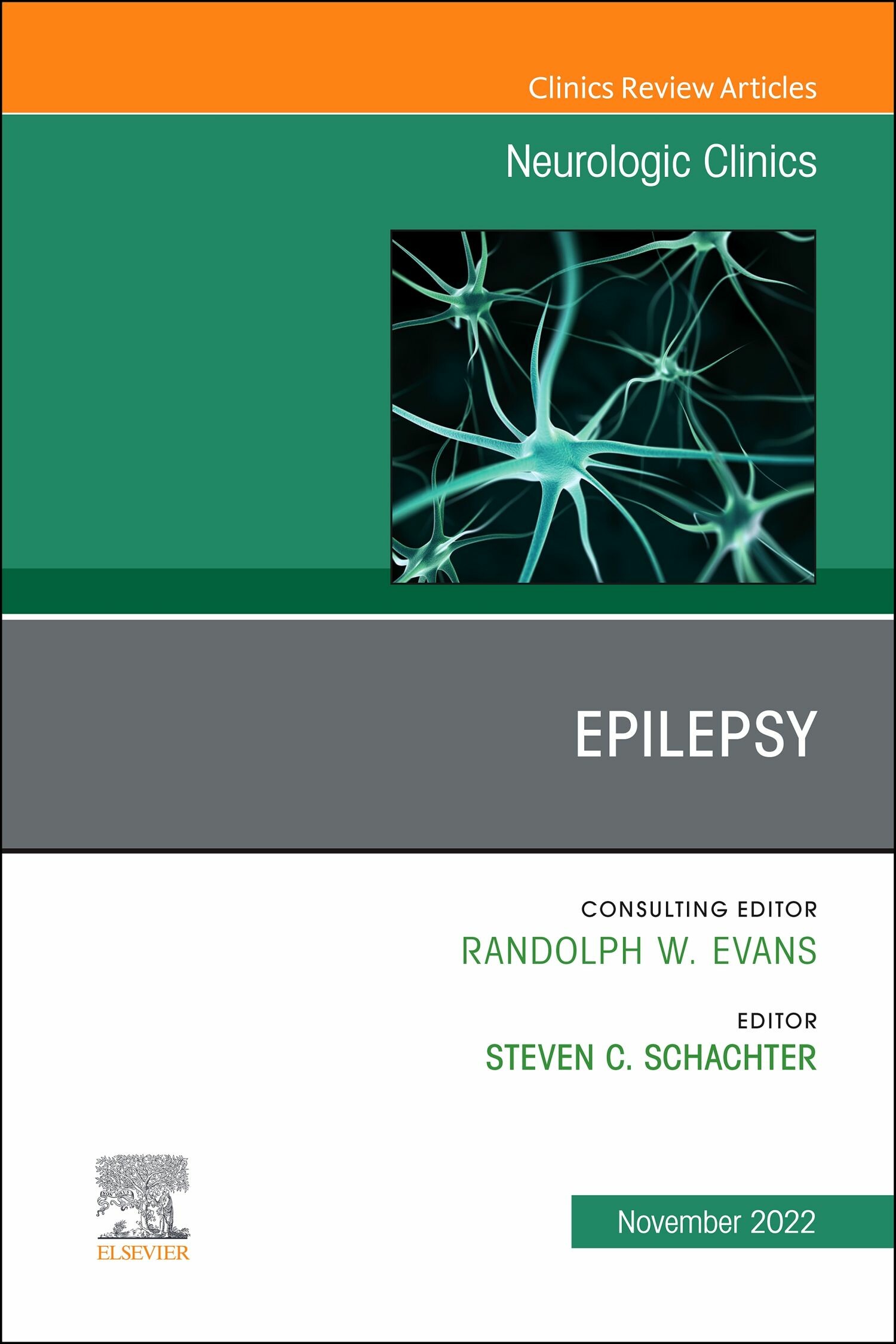 Cover Epilepsy, An Issue of Neurologic Clinics, E-Book
