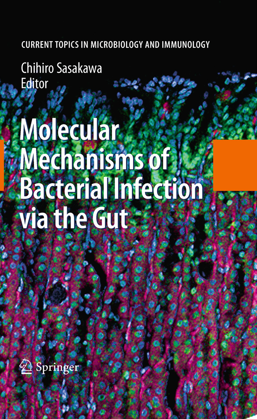 Molecular Mechanisms of Bacterial Infection via the Gut