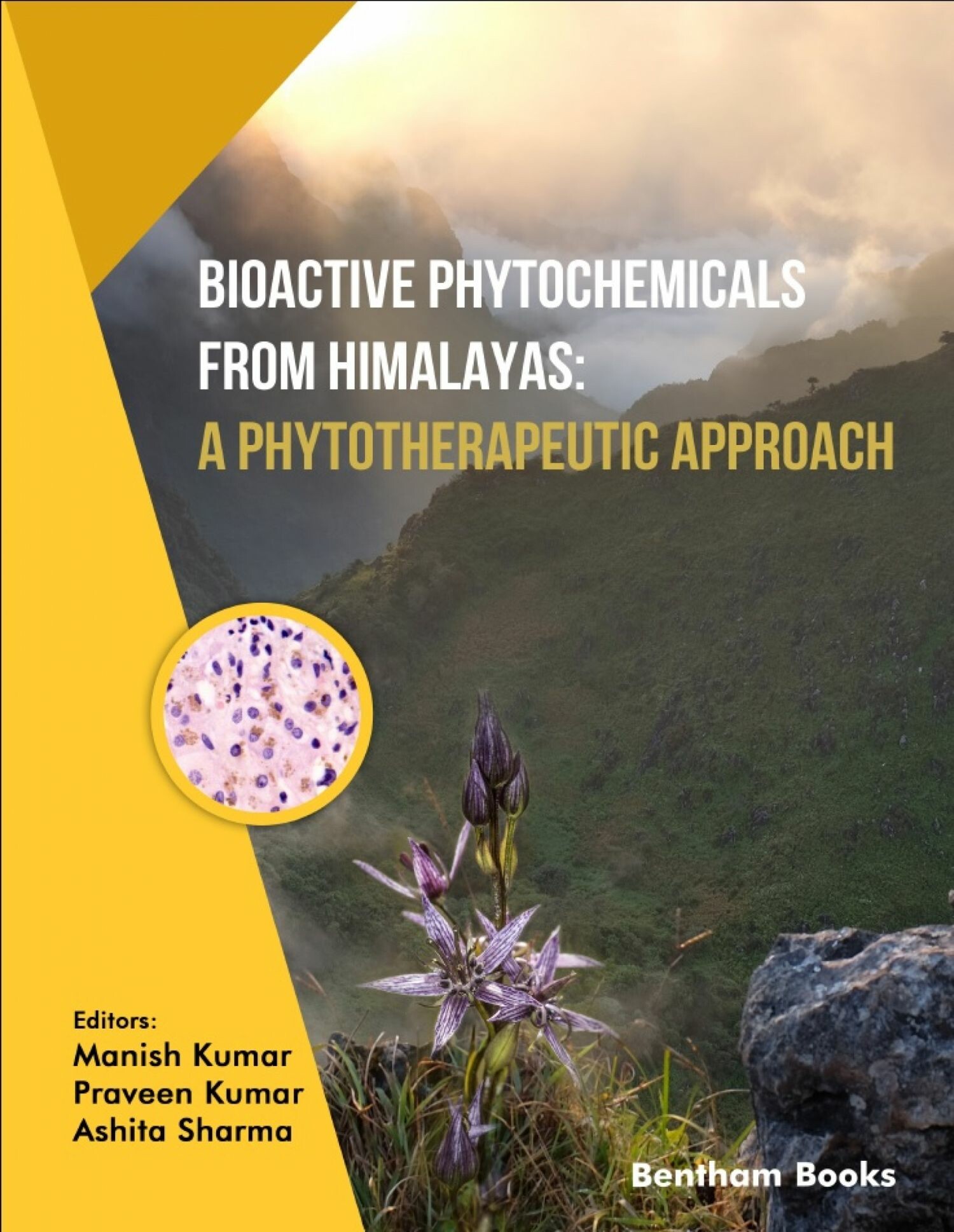 Cover Bioactive Phytochemicals from Himalayas: A Phytotherapeutic Approach