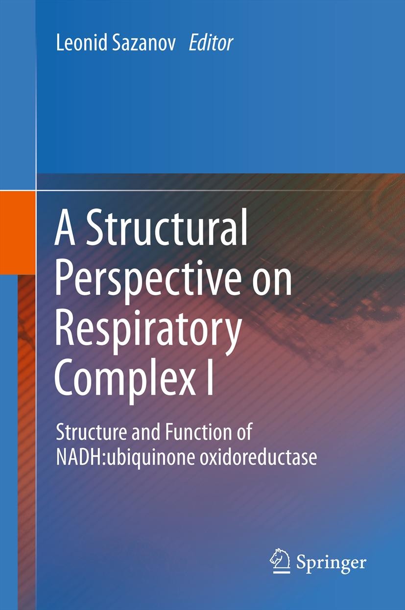 A Structural Perspective on Respiratory Complex I