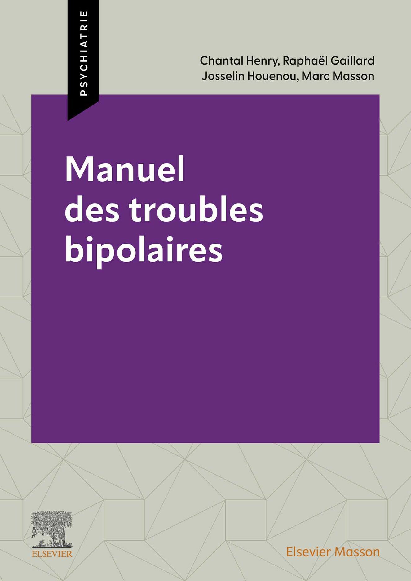 Cover Manuel des troubles bipolaires