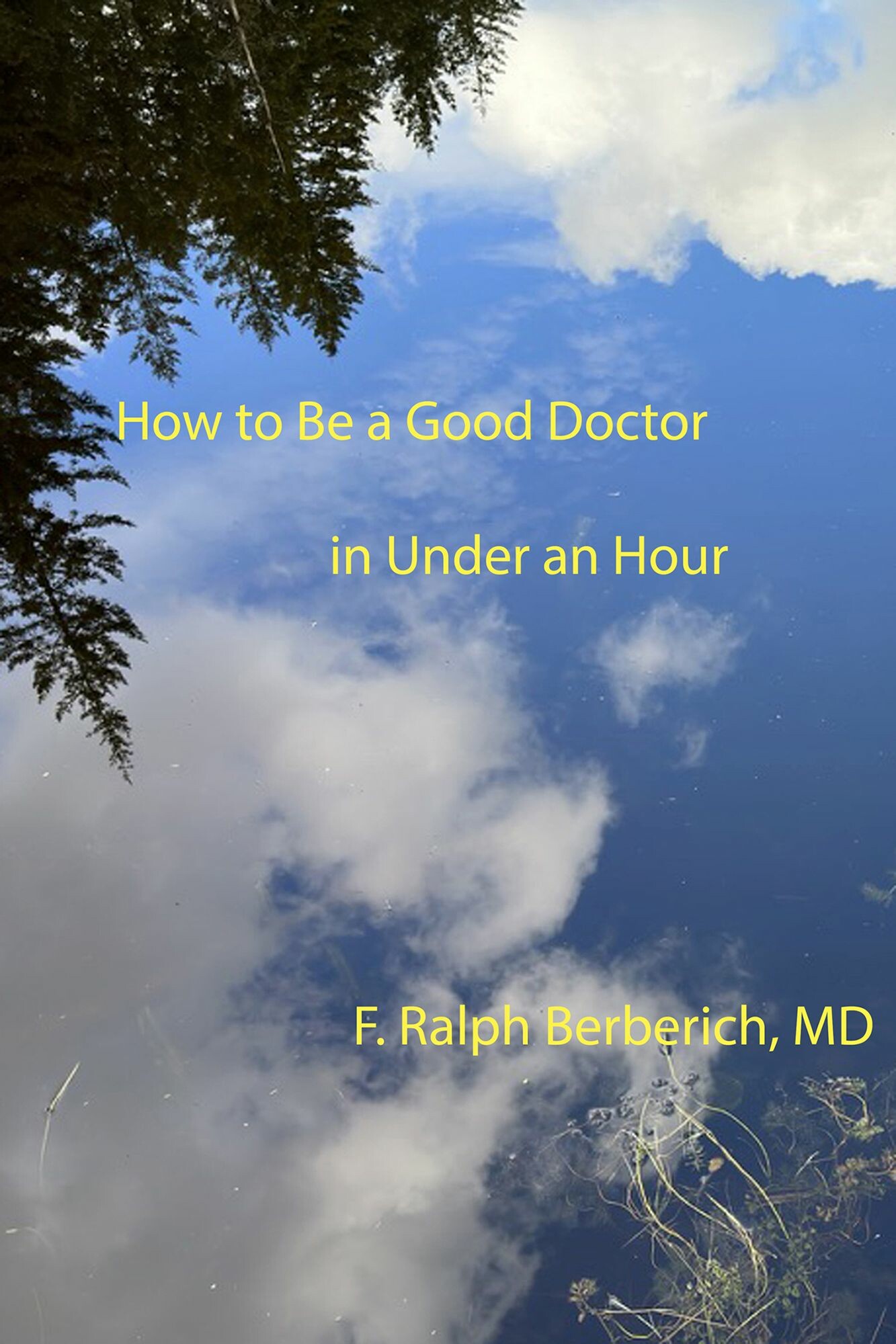 Cover How to Be a Good Doctor in Under an Hour