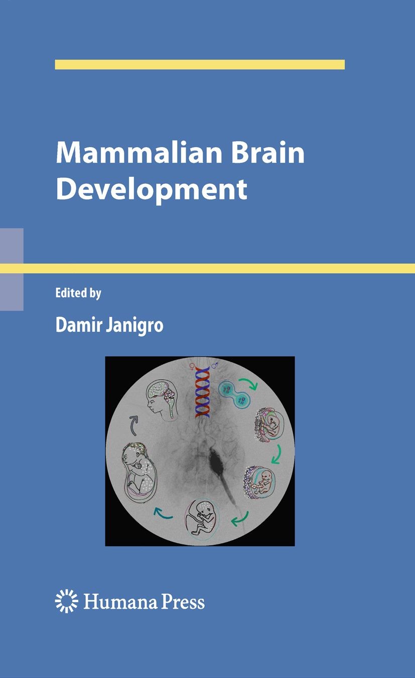Cover Mammalian Brain Development