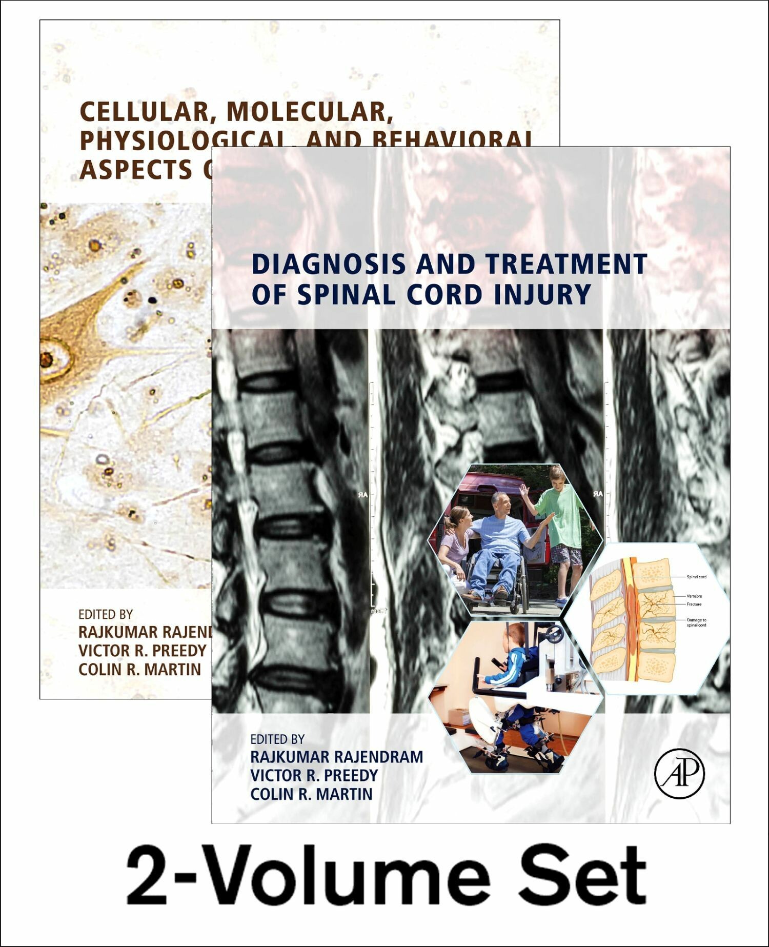 Cover The Neuroscience of Spinal Cord Injury