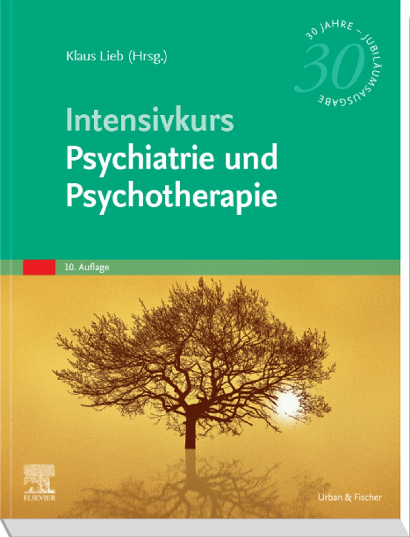 Cover Intensivkurs Psychiatrie