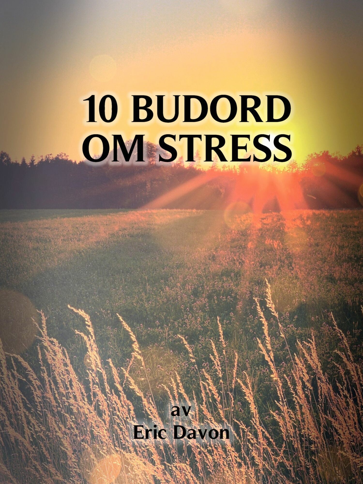 10 budord om stress