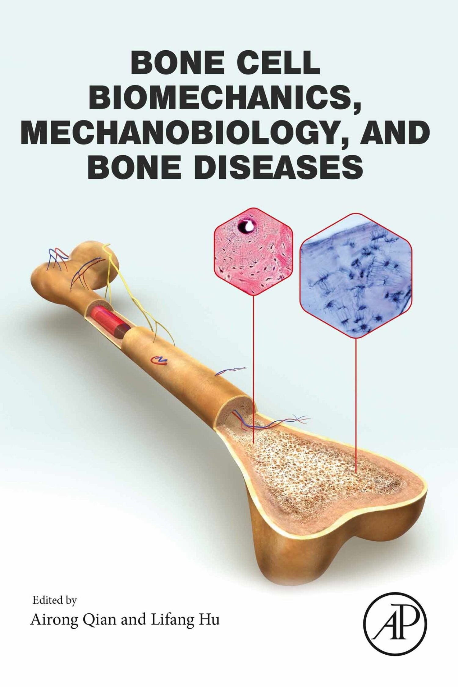 Cover Bone Cell Biomechanics, Mechanobiology and Bone Diseases