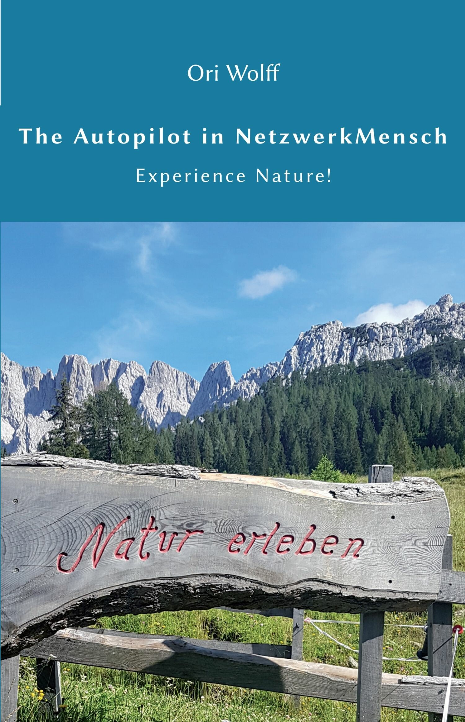 Cover The Autopilot in NetzwerkMensch
