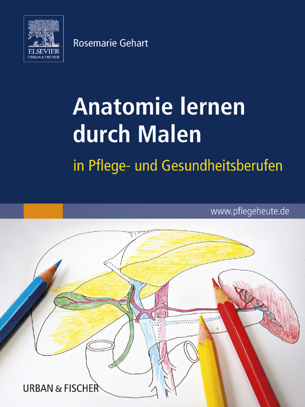 Anatomie lernen durch Malen