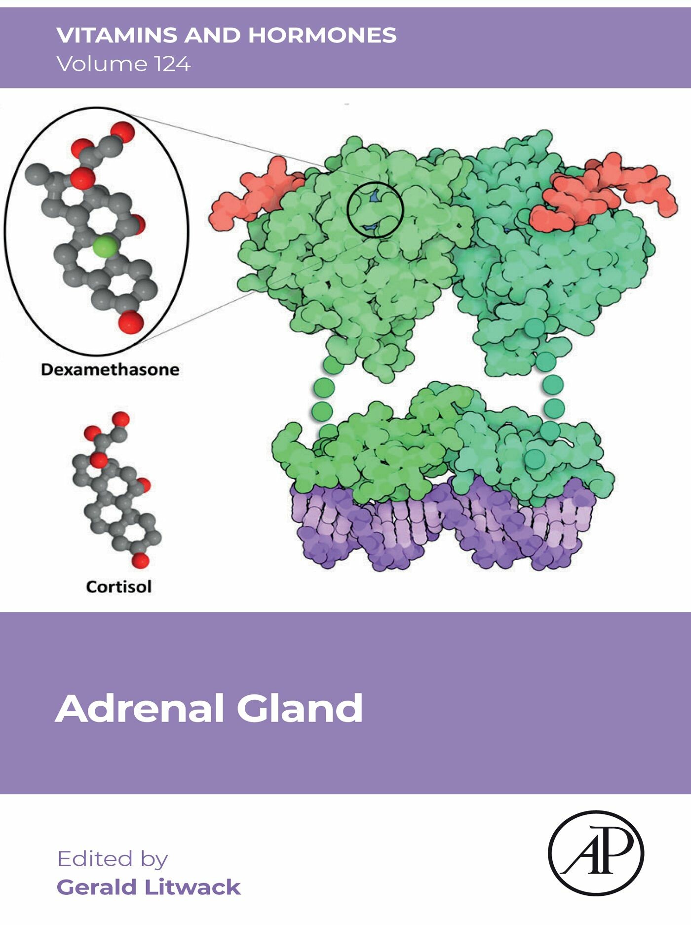 Cover Adrenal Gland