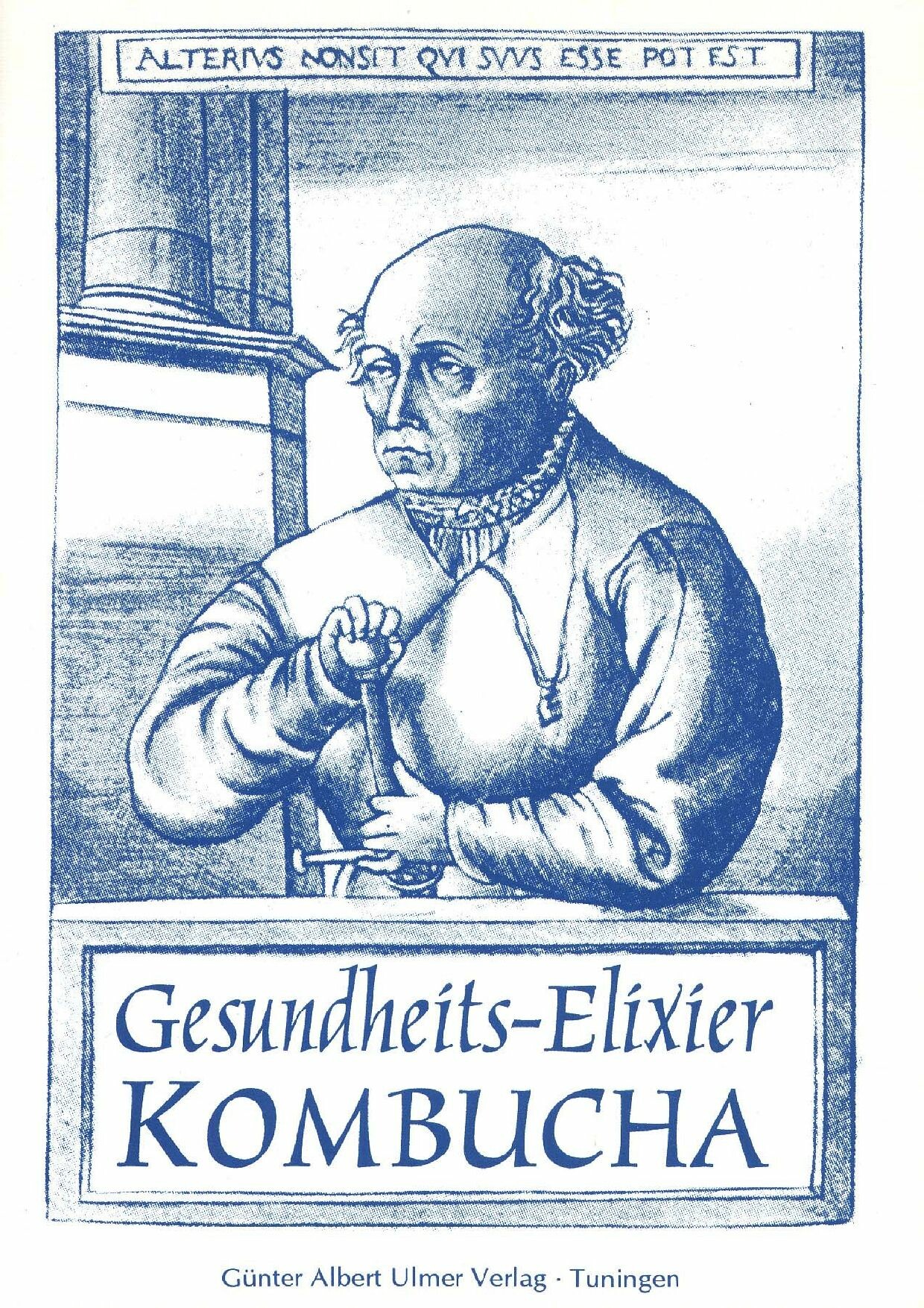 Gesundheits-Elixier Kombucha