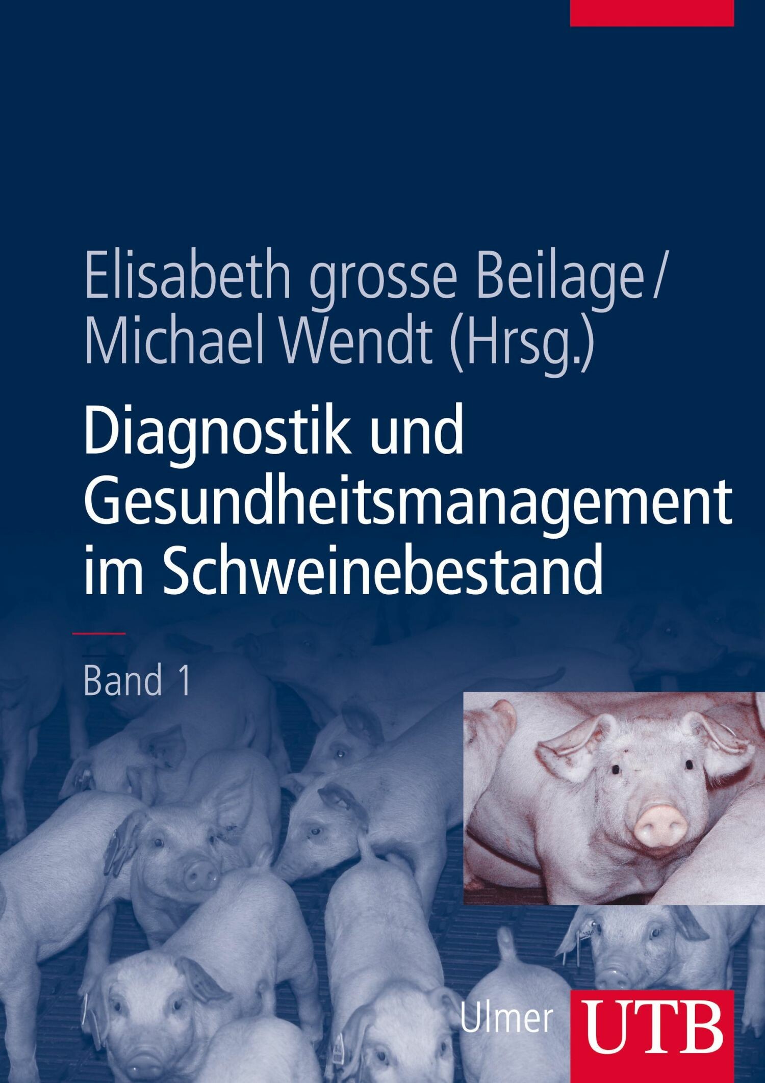 Cover Diagnostik und Gesundheitsmanagement im Schweinebestand