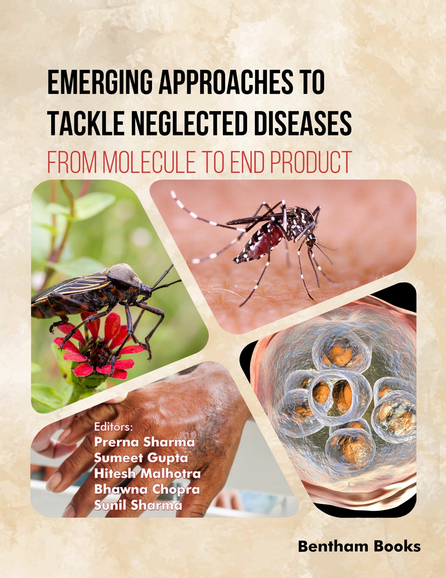 Cover Emerging Approaches to Tackle Neglected Diseases: From Molecule to End Product