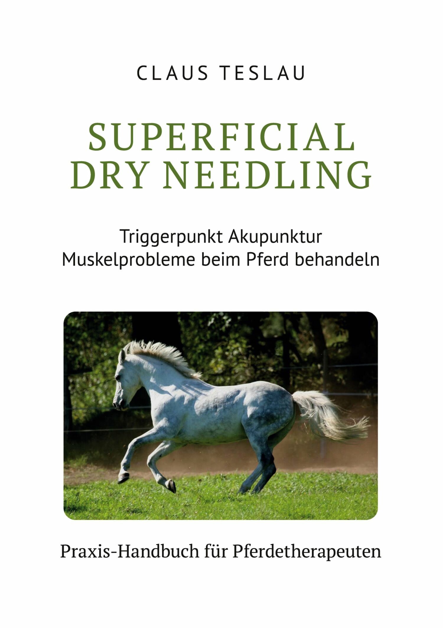 Cover Superficial Dry Needling