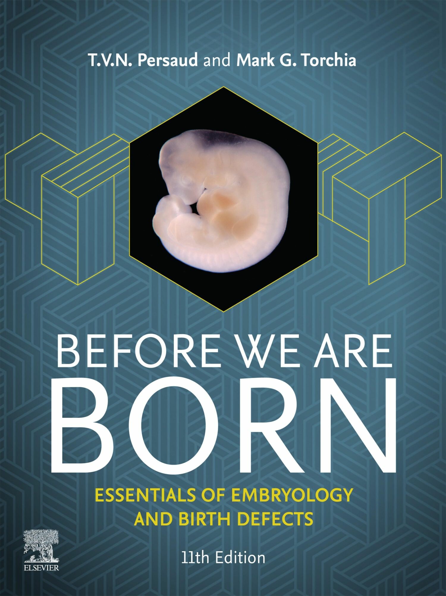 Cover Before We Are Born - E-BOOK