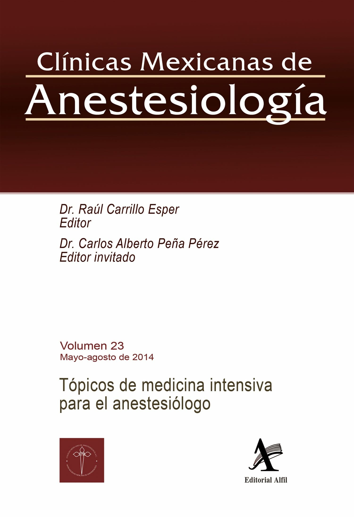 Cover Tópicos de medicina intensiva para el anestesiólogo