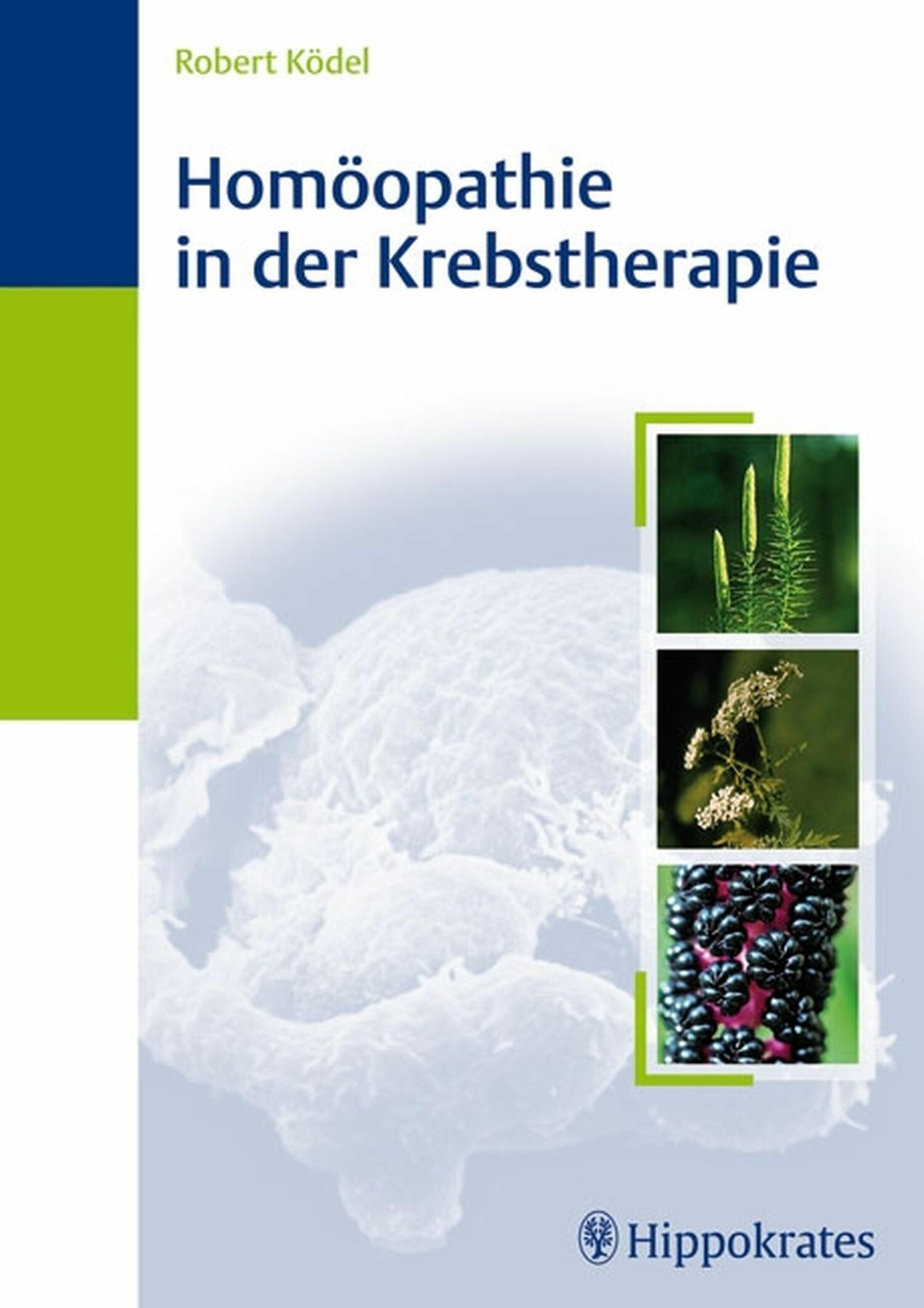 Cover Homöopathie in der Krebstherapie
