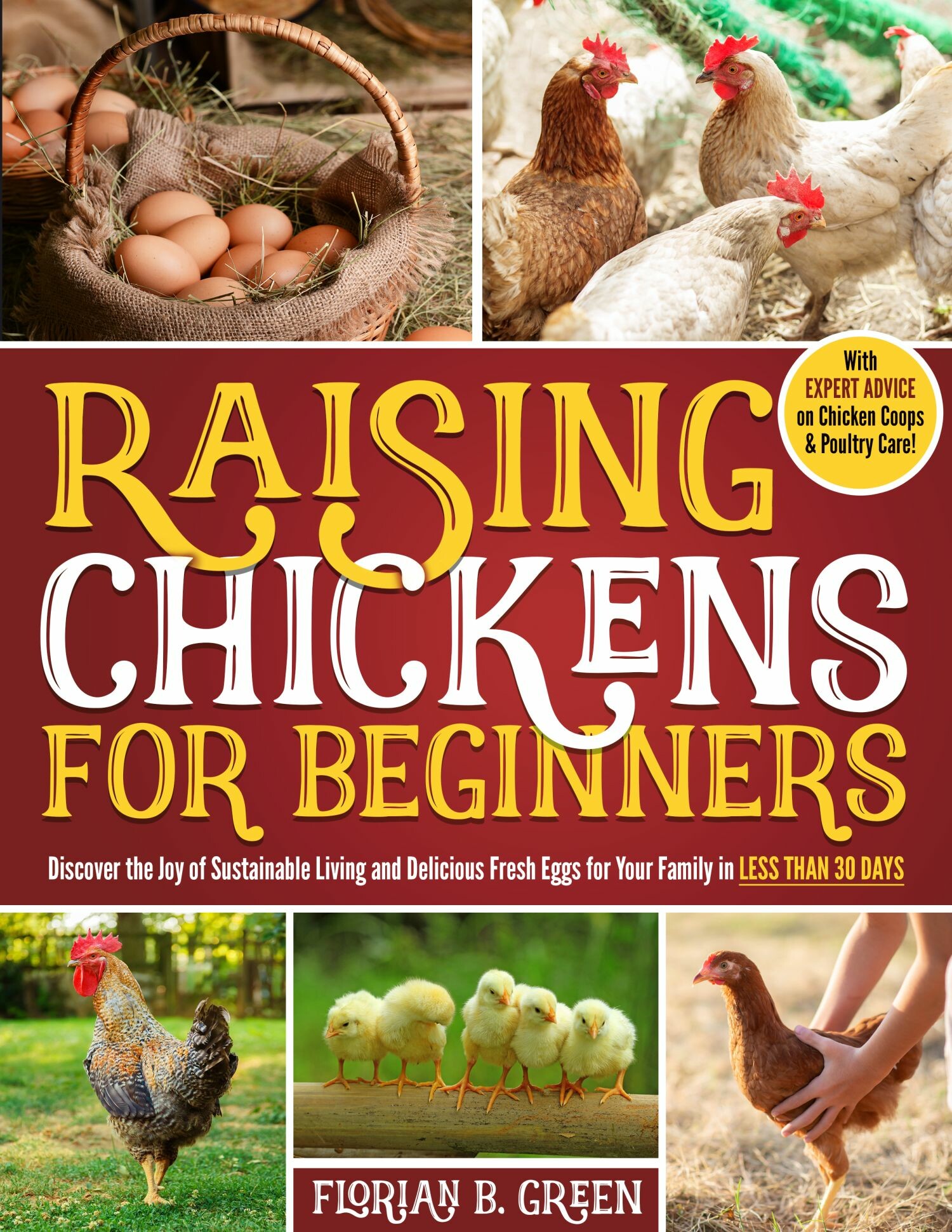 Raising Chickens for Beginners
