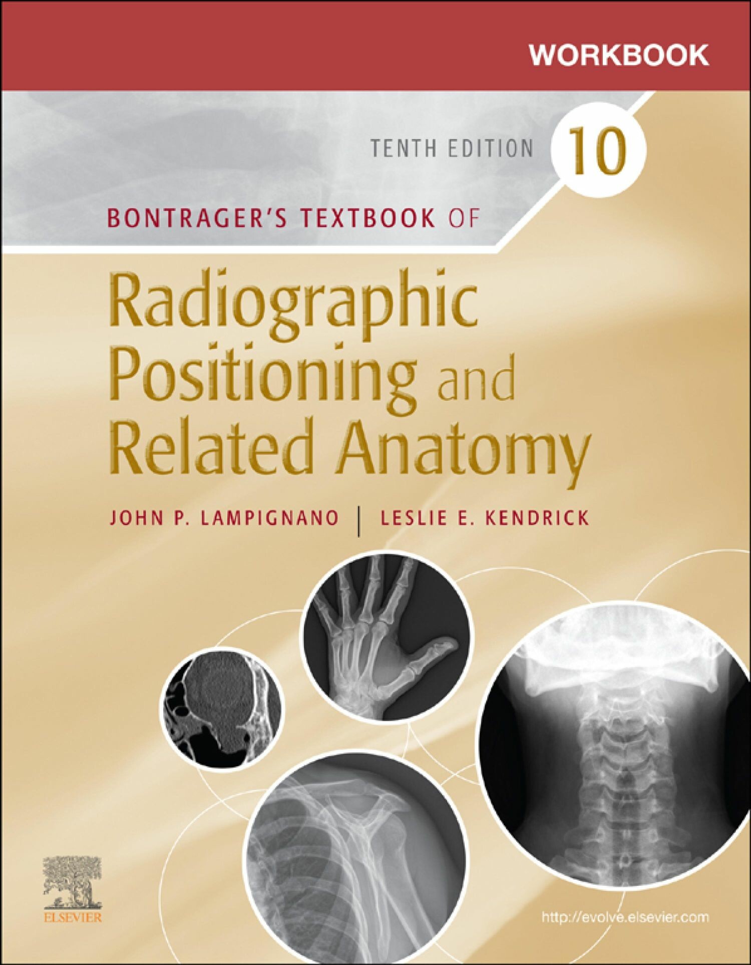 Cover Workbook for Bontrager's Textbook of Radiographic Positioning and Related Anatomy - E-Book