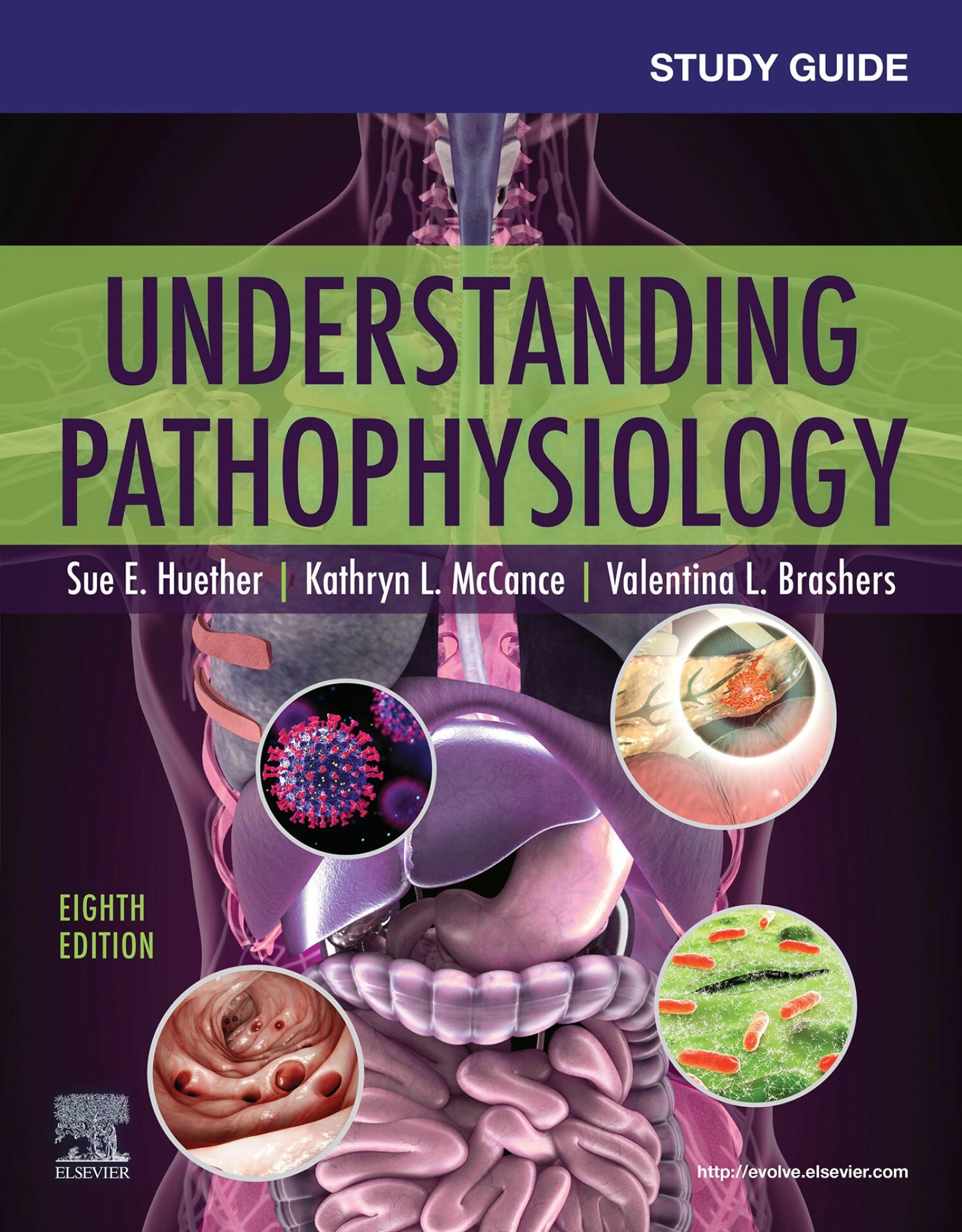 Cover Study Guide for Understanding Pathophysiology - E-Book