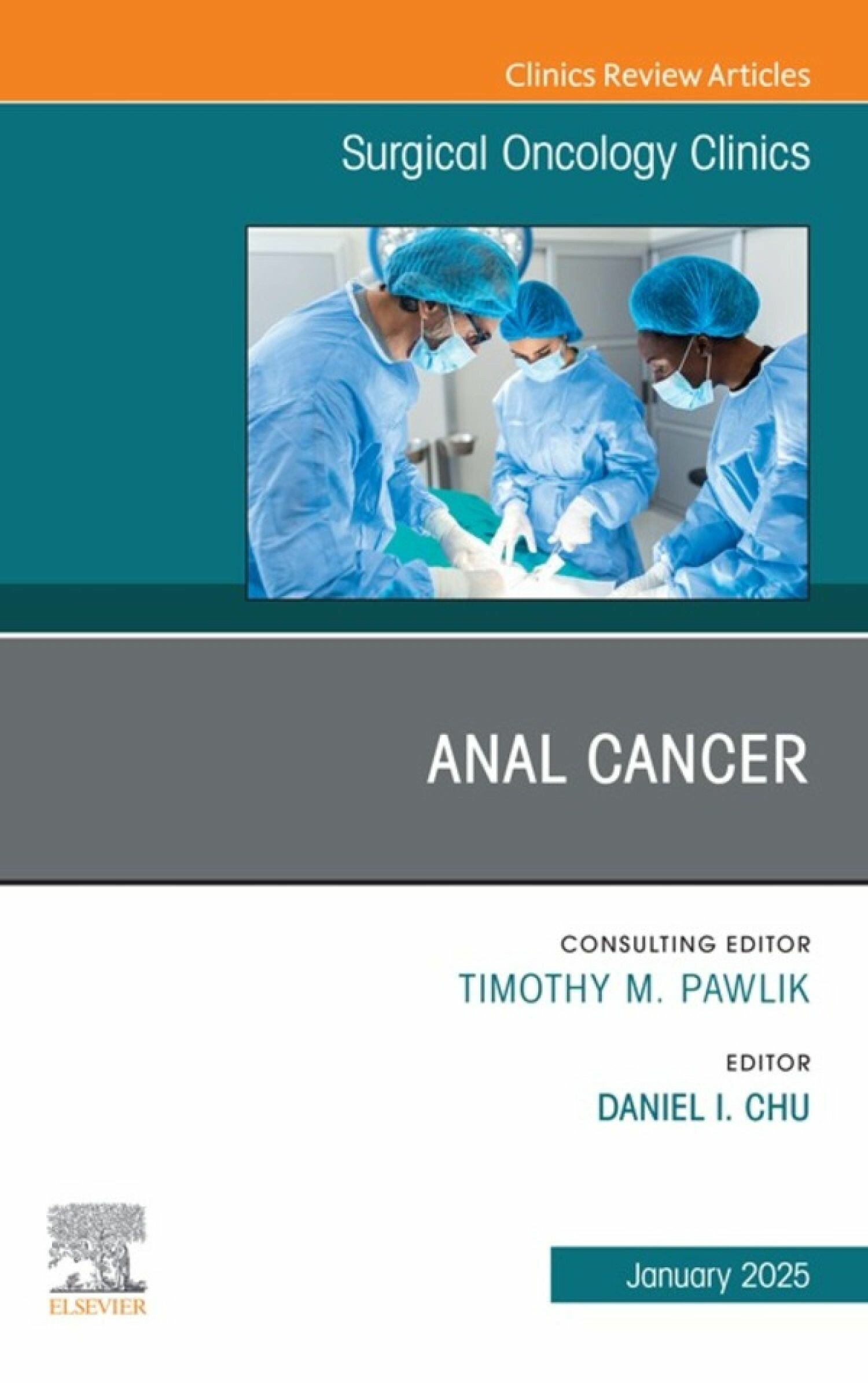 Cover Anal Cancer, An Issue of Surgical Oncology Clinics of North America