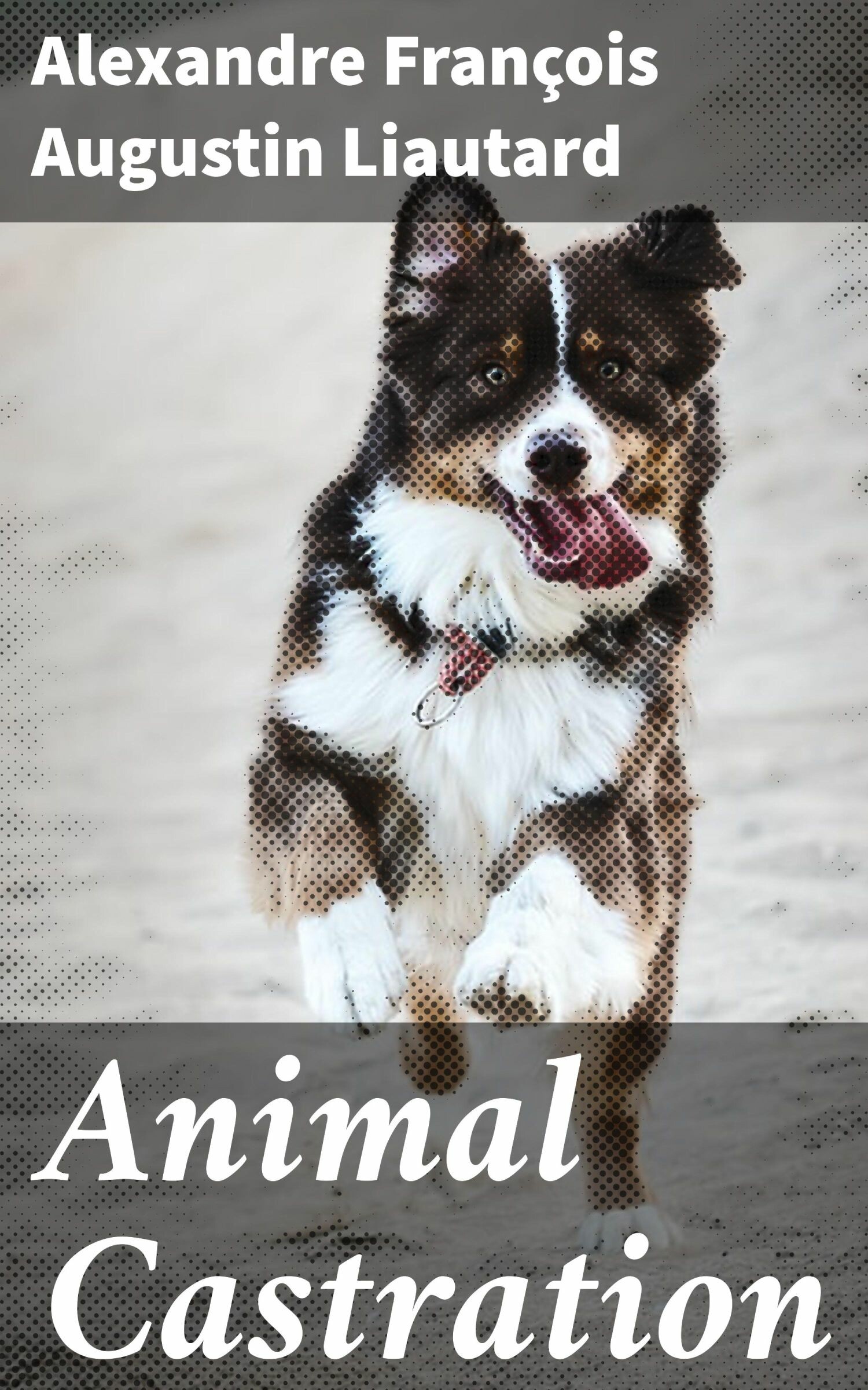 Cover Animal Castration