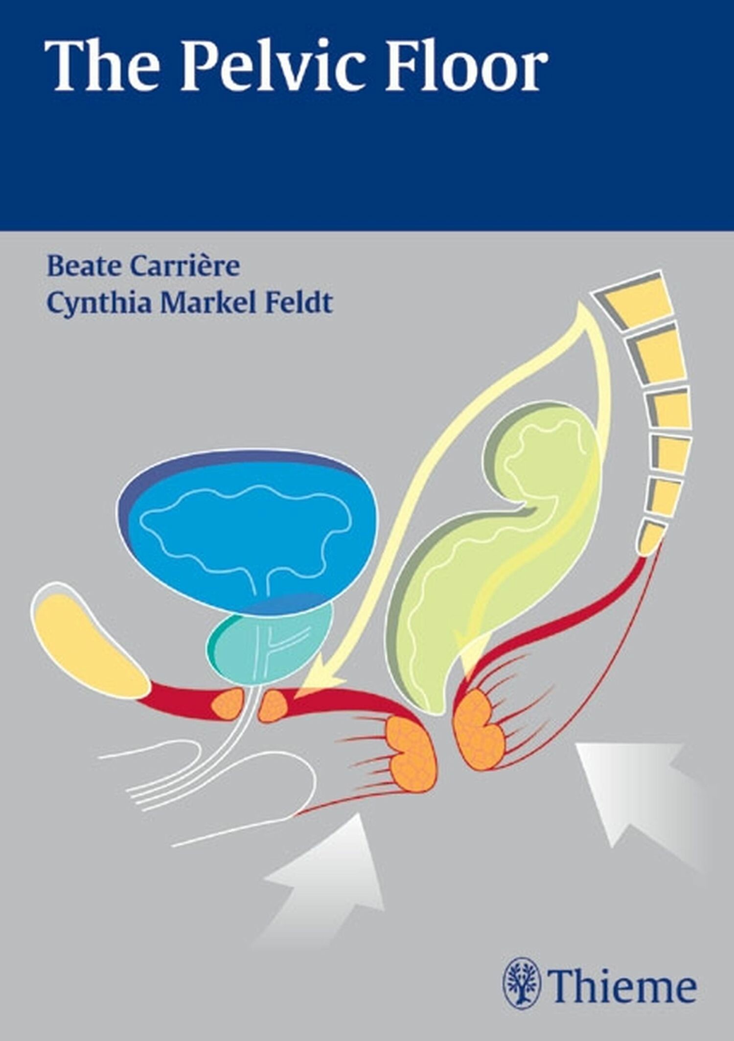 Cover The Pelvic Floor