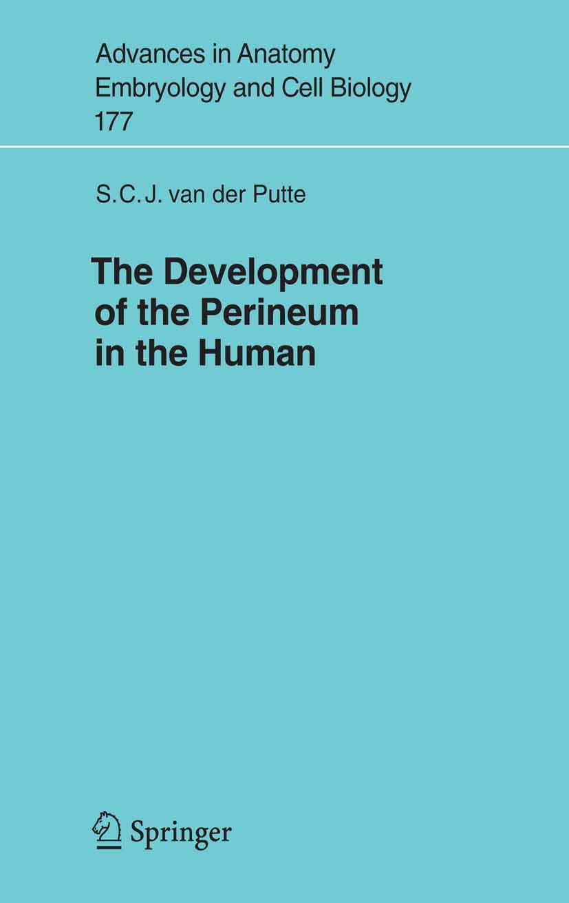 The Development of the Perineum in the Human