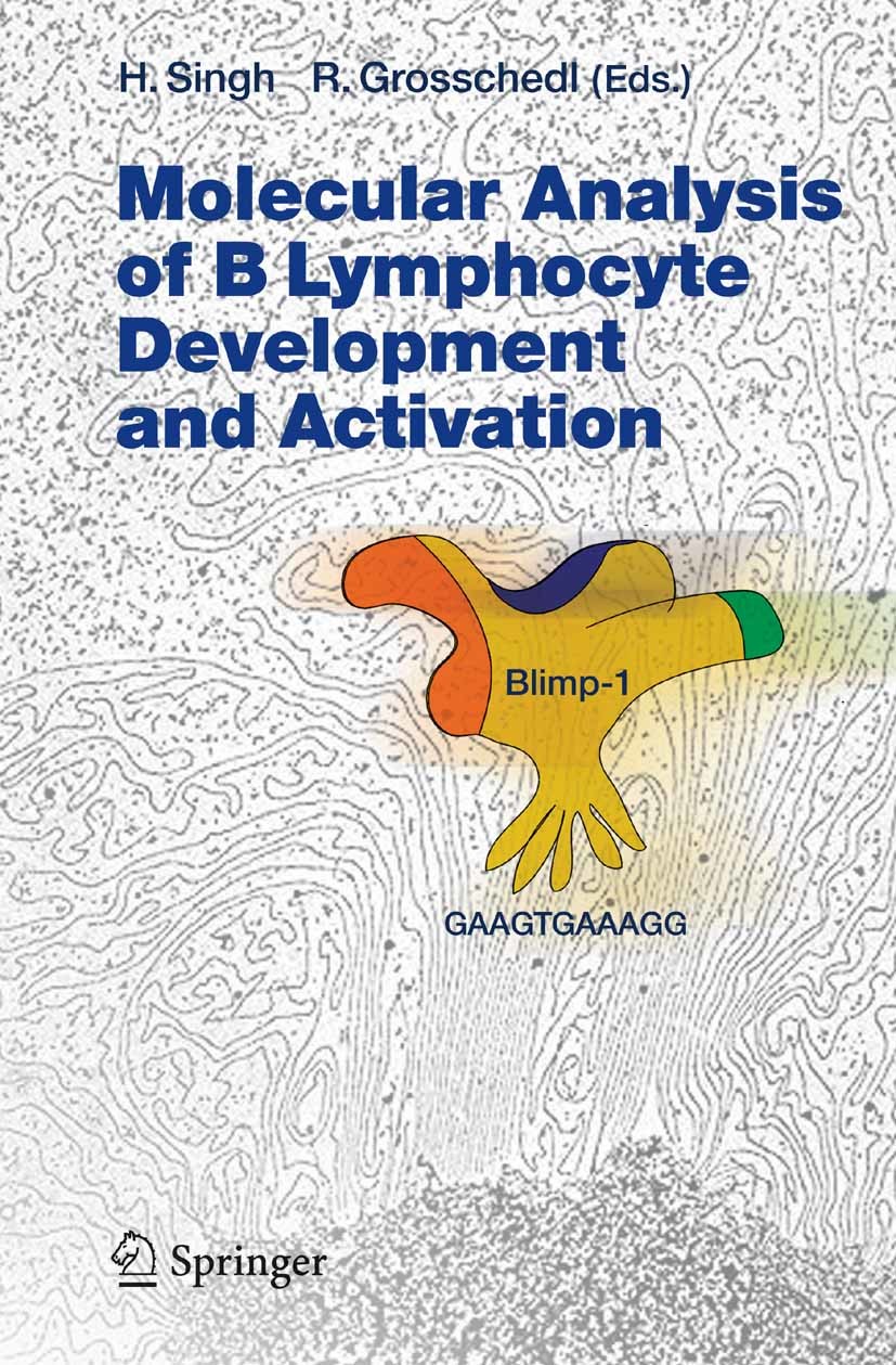 Molecular Analysis of B Lymphocyte Development and Activation