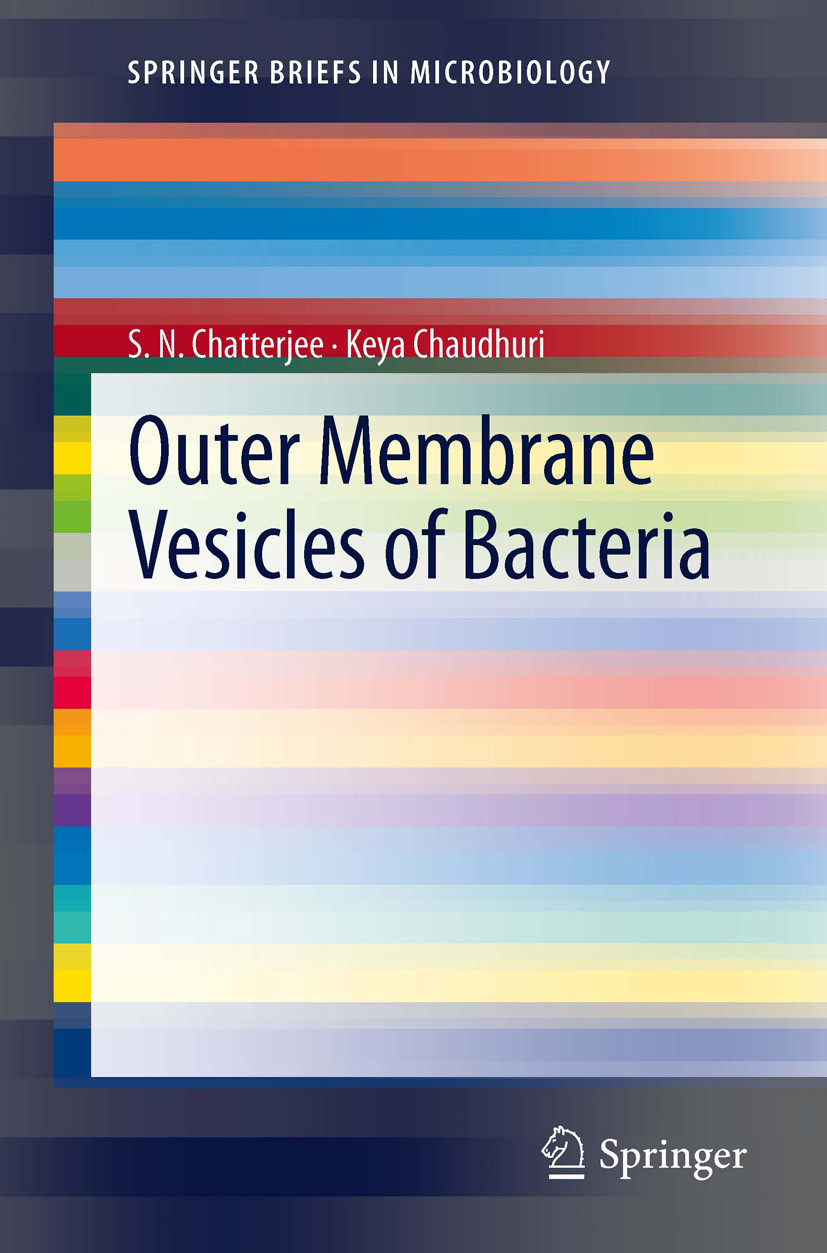 Cover Outer Membrane Vesicles of Bacteria