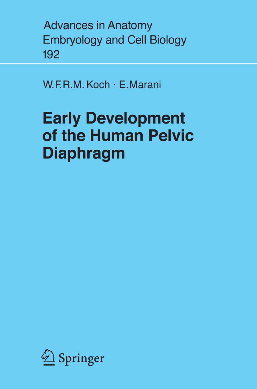 Early Development of the Human Pelvic Diaphragm