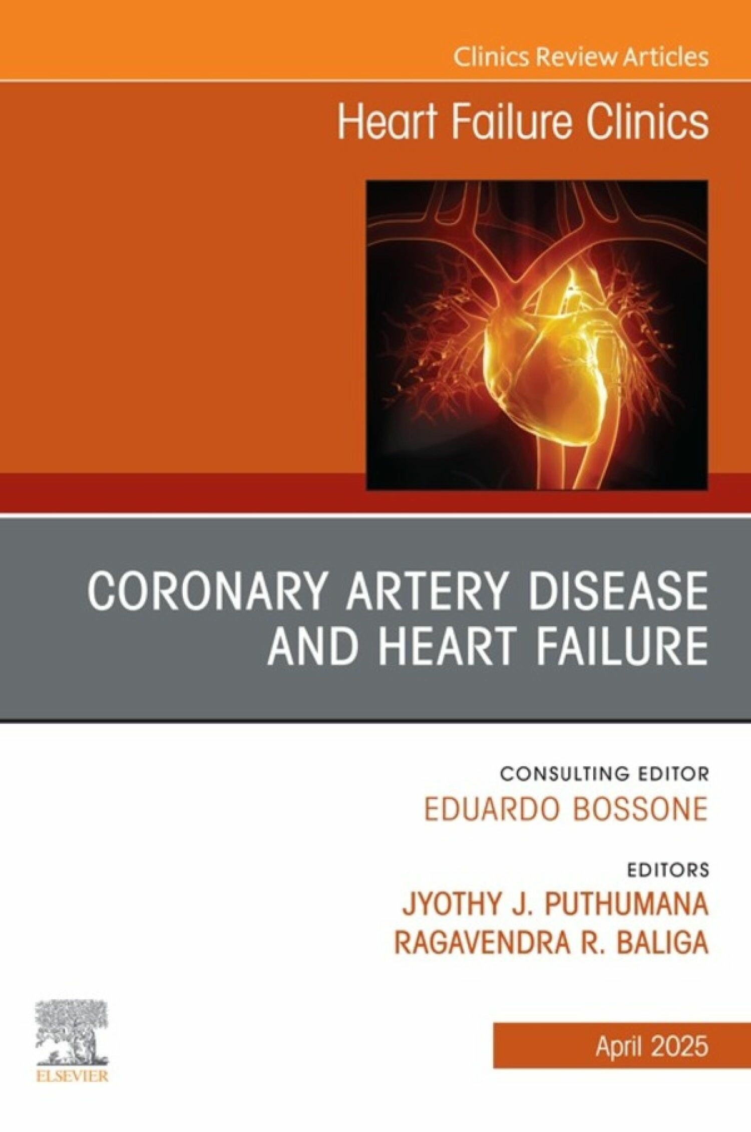 Cover Coronary Artery Disease and Heart Failure, An issue of Heart Failure Clinics