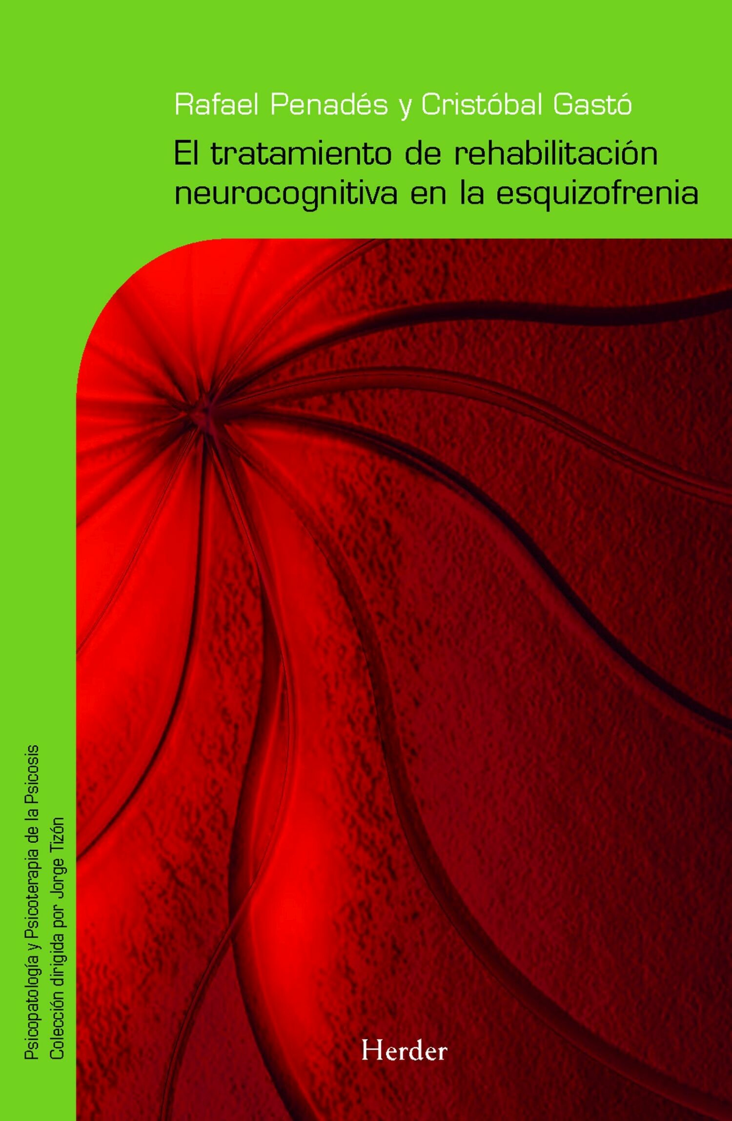 Cover El tratamiento de rehabilitación neurocognitiva en la esquizofrenia