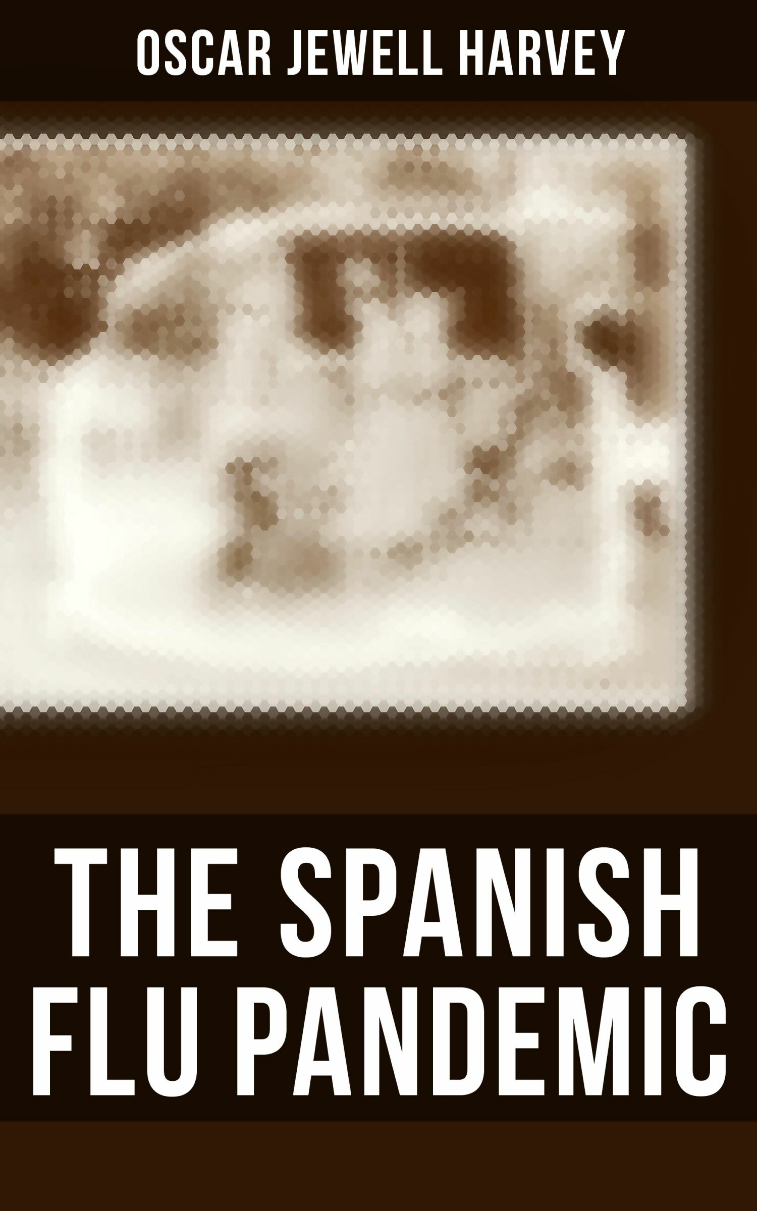 Cover The Spanish Flu Pandemic