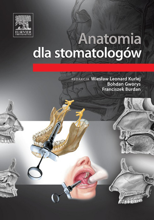 Anatomia dla stomatologów